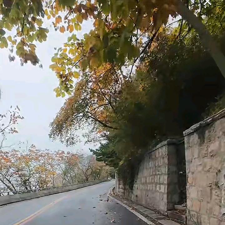 迈着王者的步伐