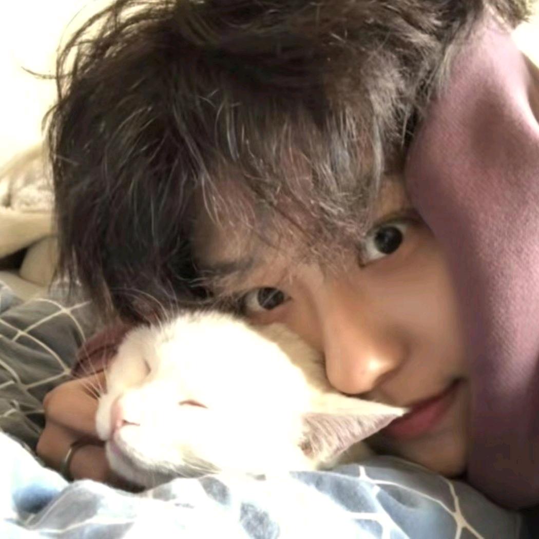 今天要做什么饭