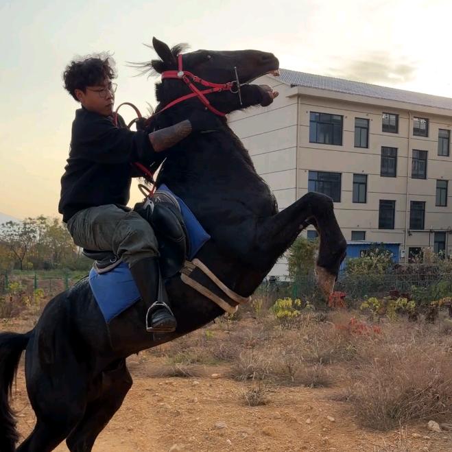 没见过美女☺️