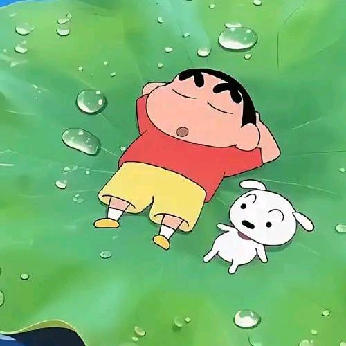 枫