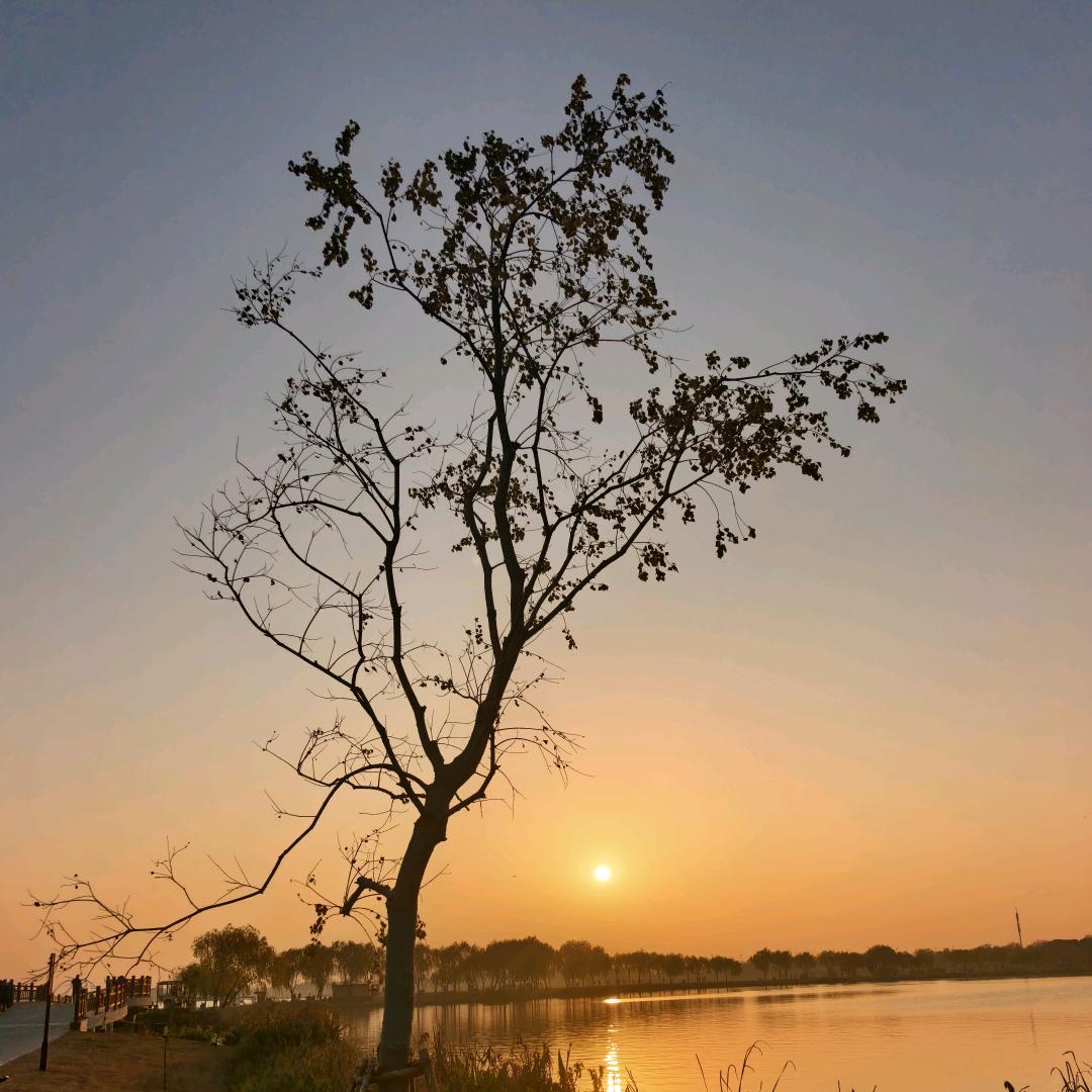 孔乙己的茴香豆