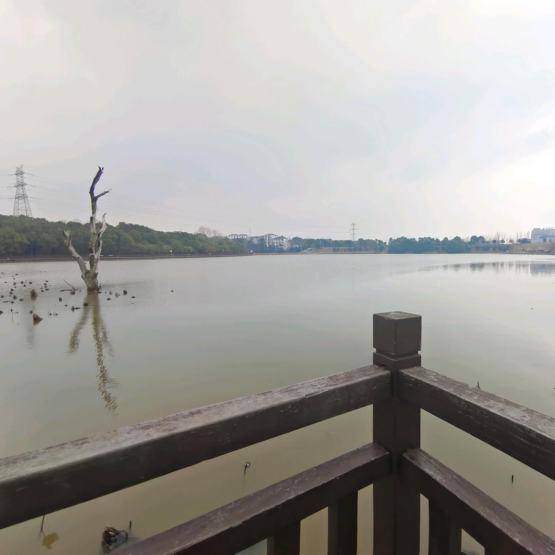 台山二手回收与买卖