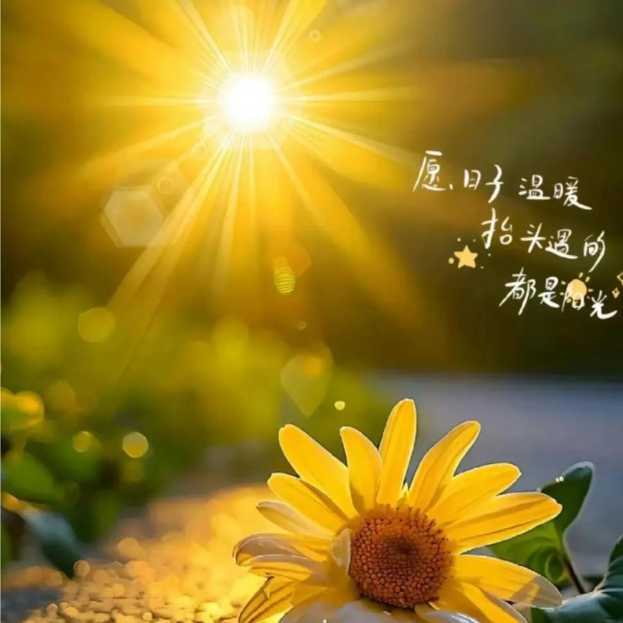 ＆何以解忧唯有退休