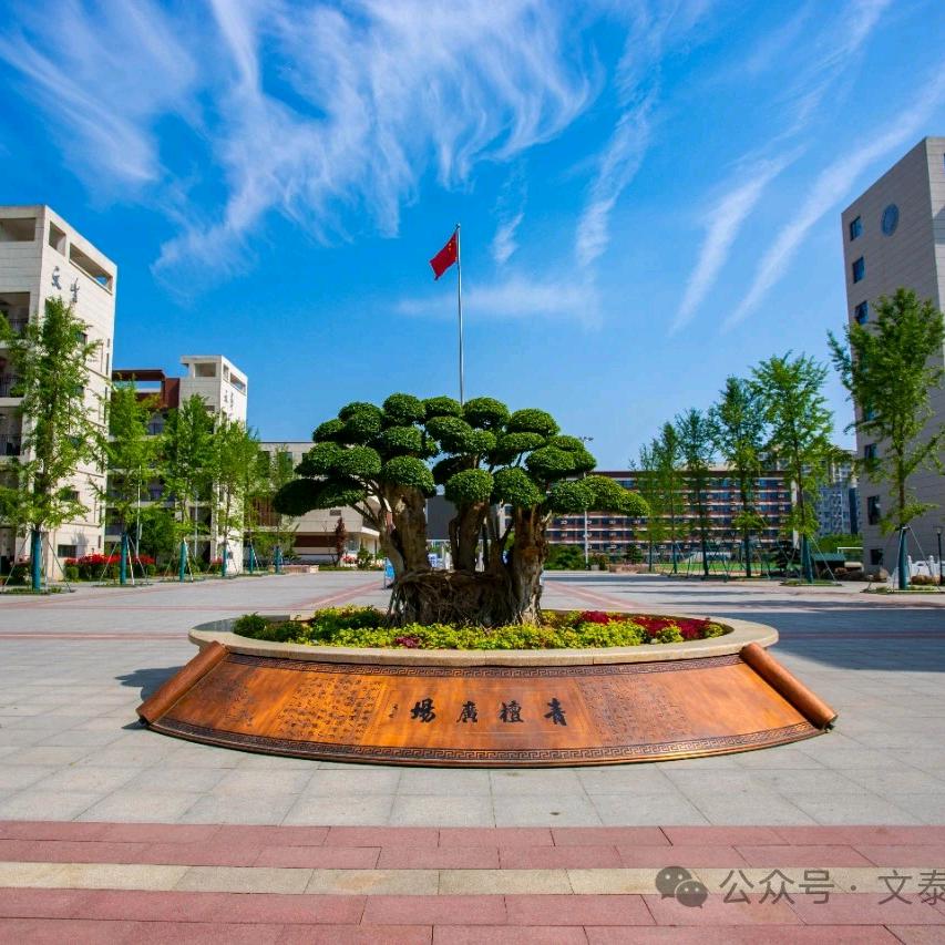 青檀树下1668