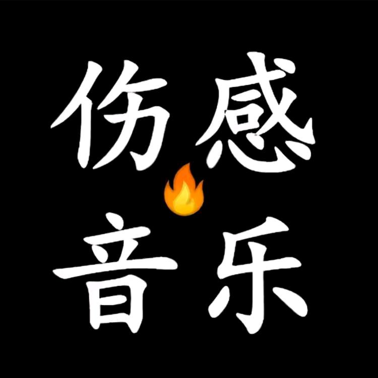 小小音乐🔥