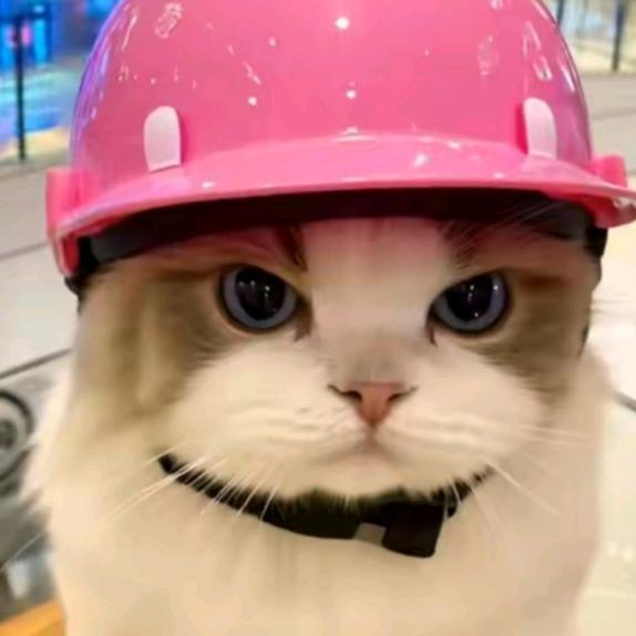 成都睿涟荷轩酒店臻选阁