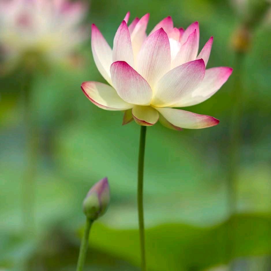 恶名昭著