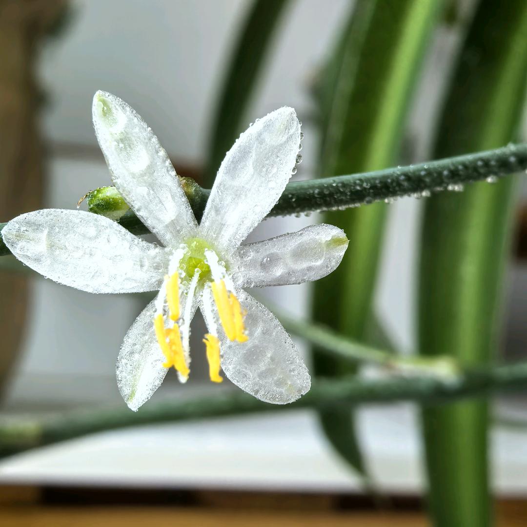 悟🍀.