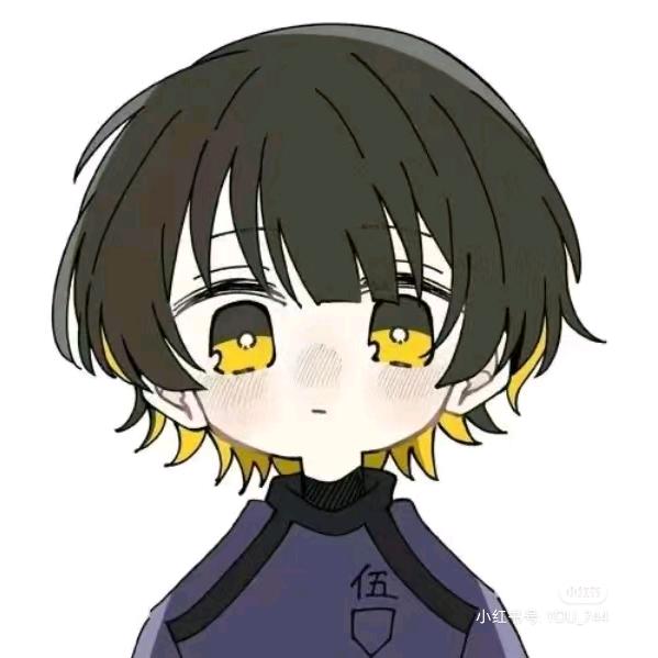 大唐雅音小苍蝇