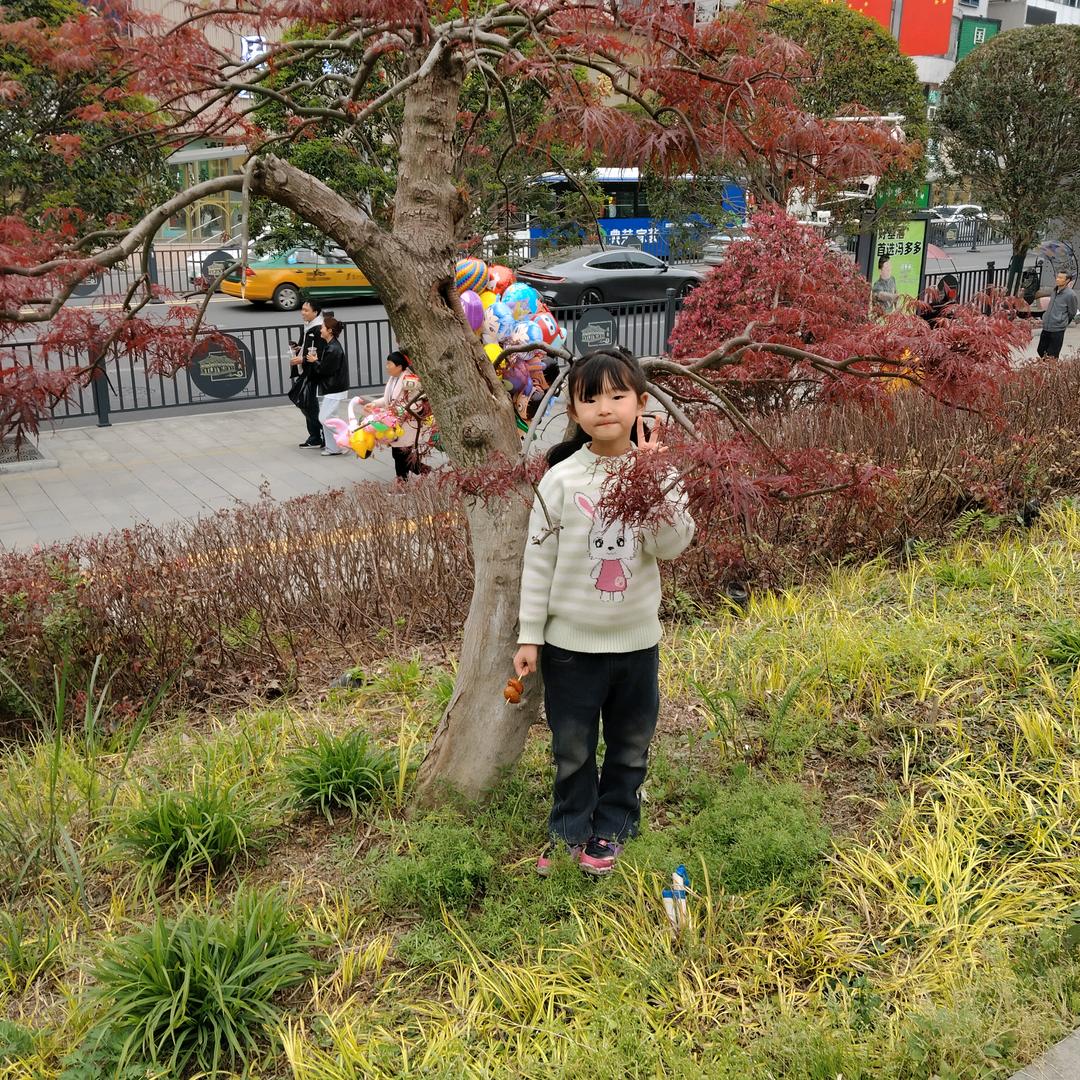 用户9469865188949