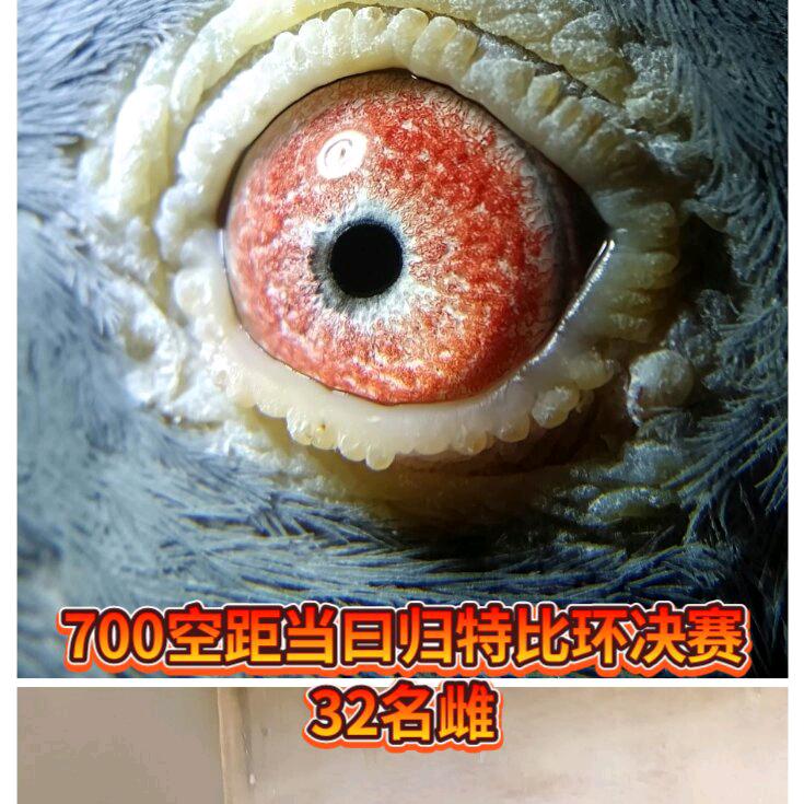 往后余生🕊🕊