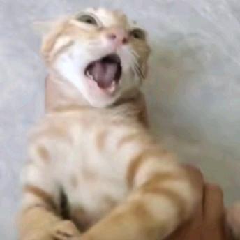 在掉链子这件事儿上我从没掉过链子