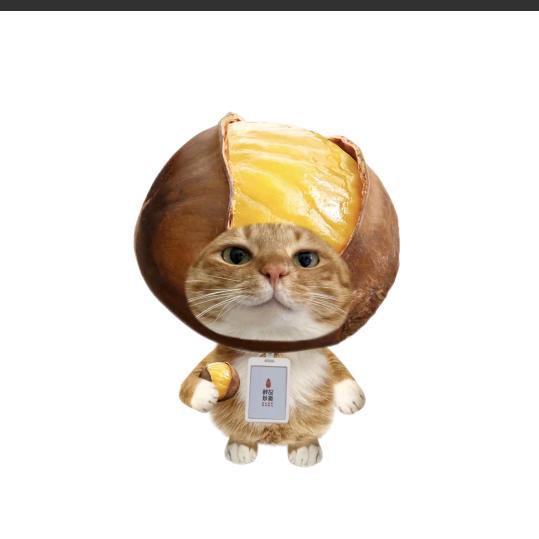 心事重重的西瓜