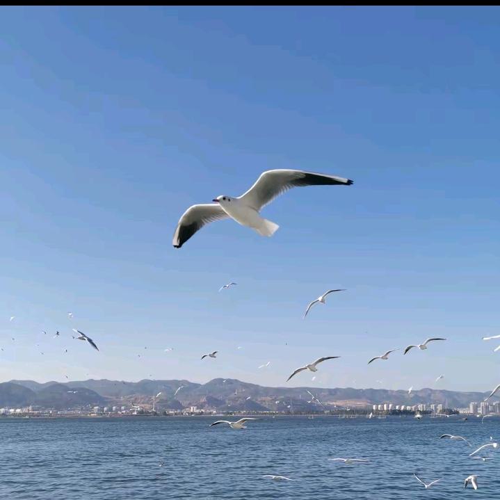 塔塔