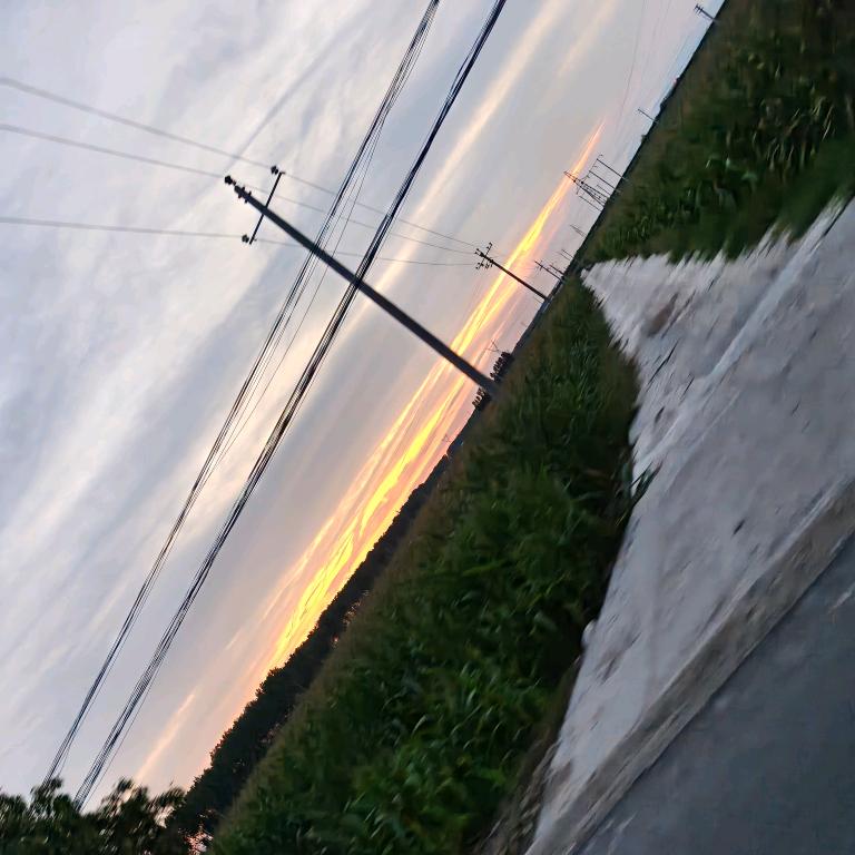 余大娘🌵🌵🌵