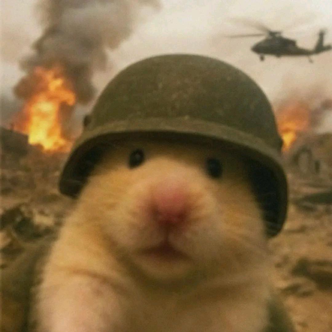 中年鼠鼠，在线跑刀。