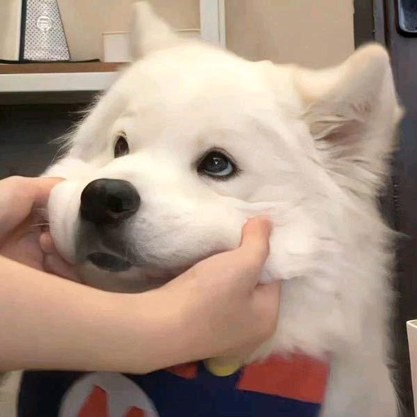 星火