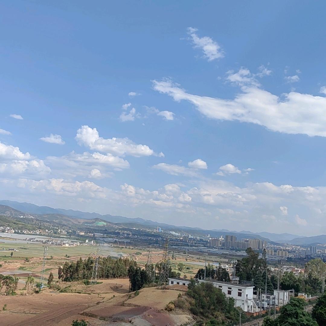 土坷拉