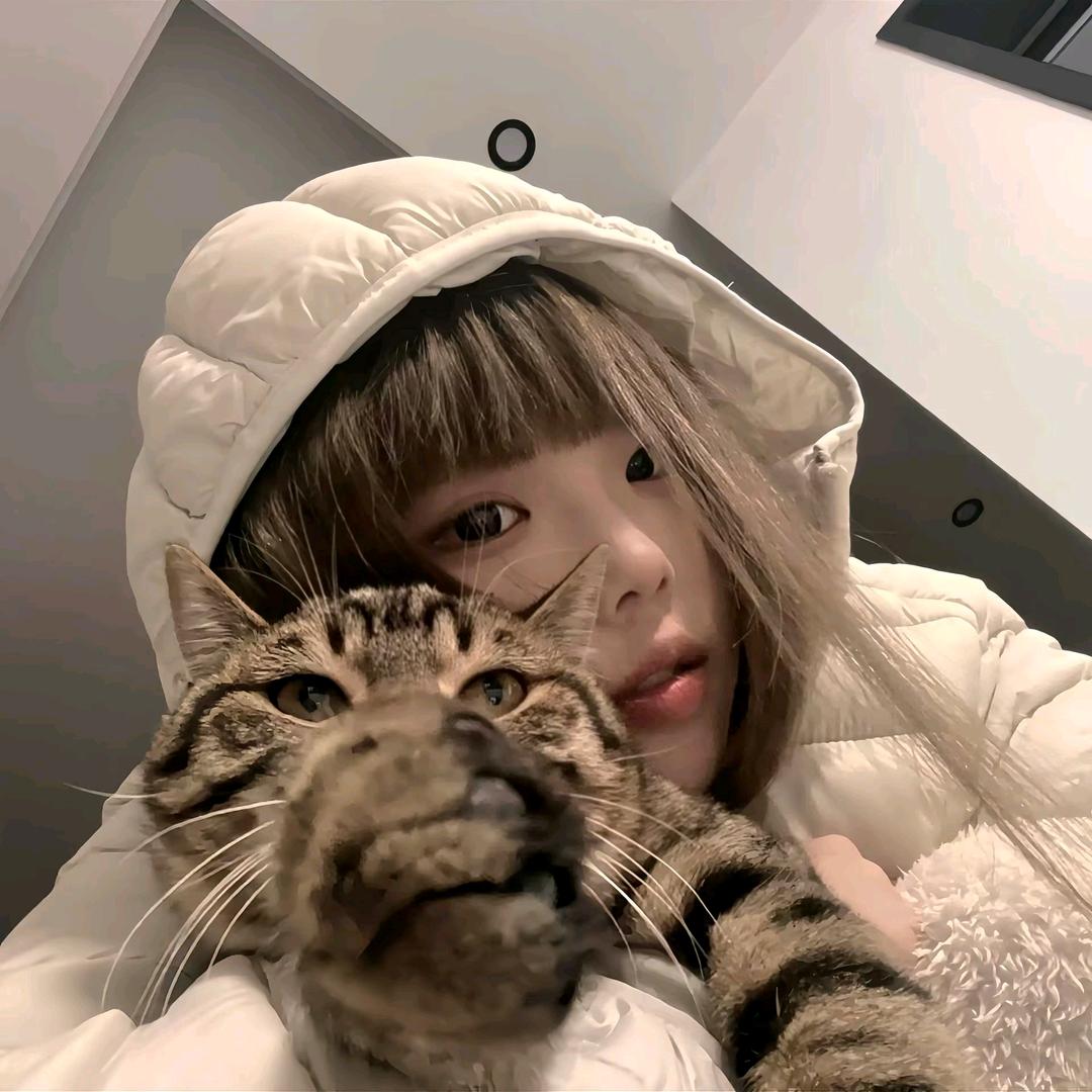 ㅤ￴￴ ￴ ￴ ￴ ￴ ￴ ￴￴ ￴ ￴