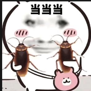 瑾禾