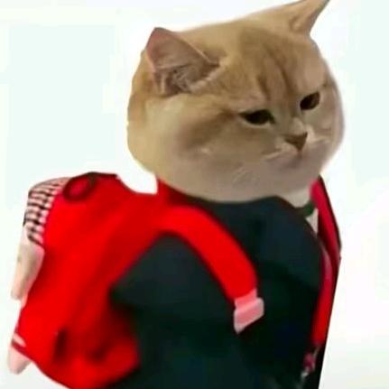 我叫芬大力