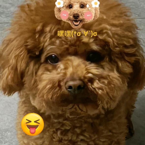 五