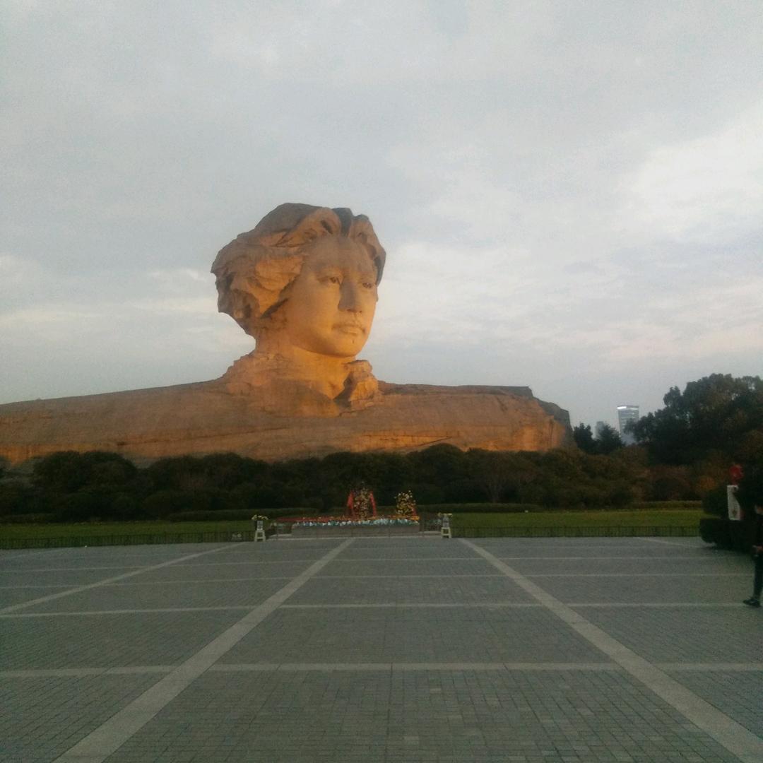 专业收花生，收大蒜