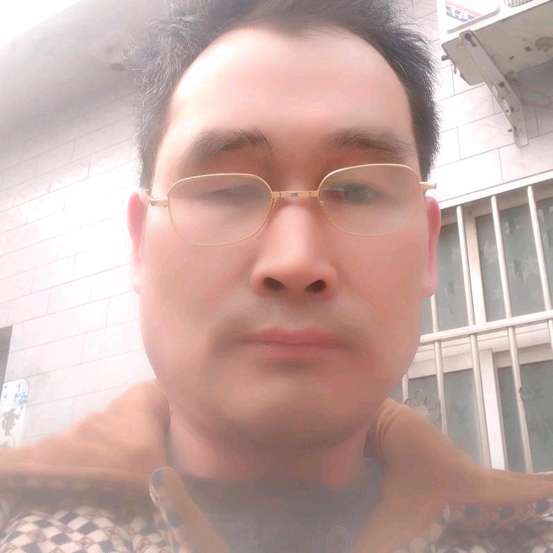 自由飞翔