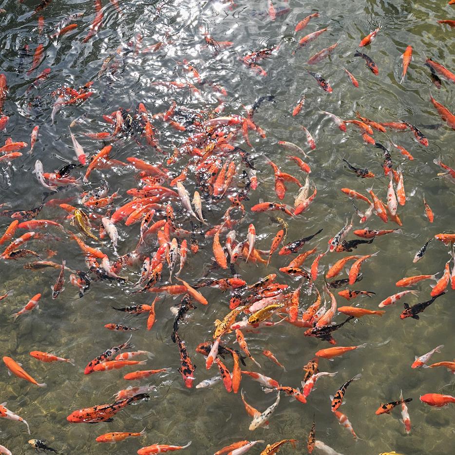 菏泽宽裕酒业~刘阔