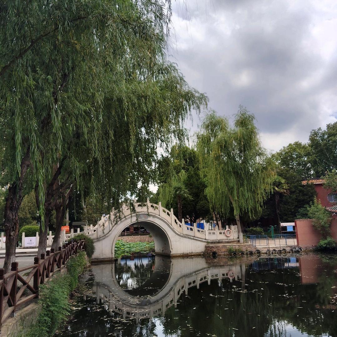 🌲🏠⚛️⚙️@01AGN.中兴影讯