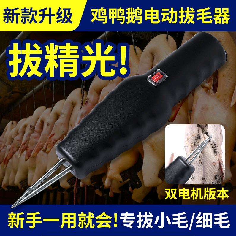 亚韩美睫