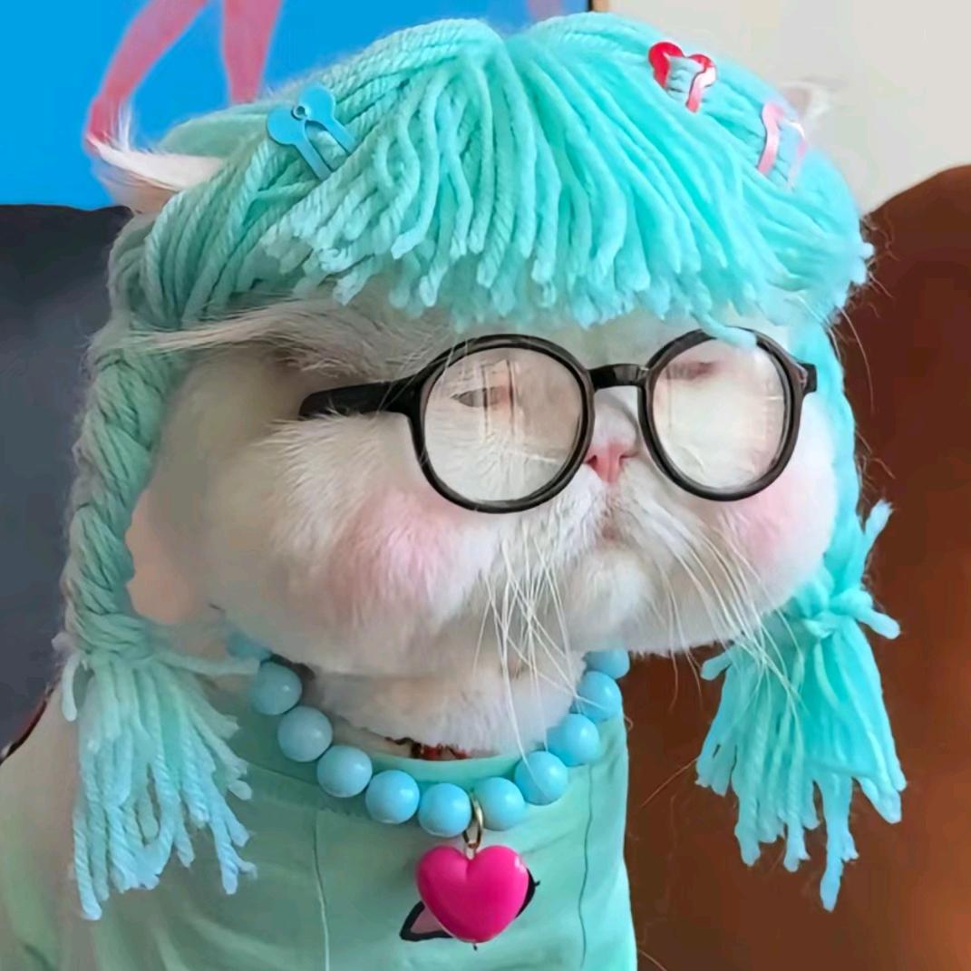 蛙哒西哇