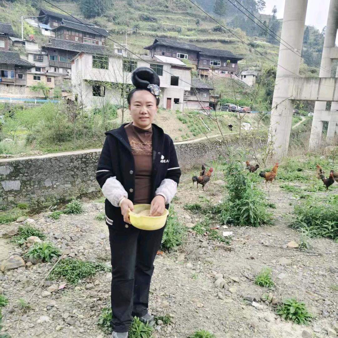 媛姐村房（贵州黔东南）