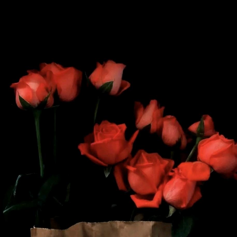 国际电工开关插座家装店