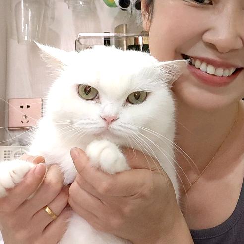 yy是只猫