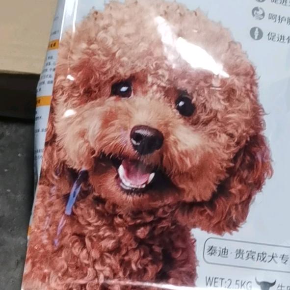 智人追梦