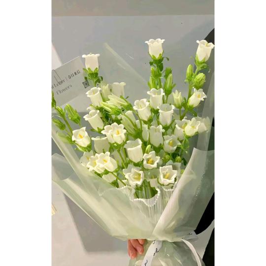 素言真记录生活