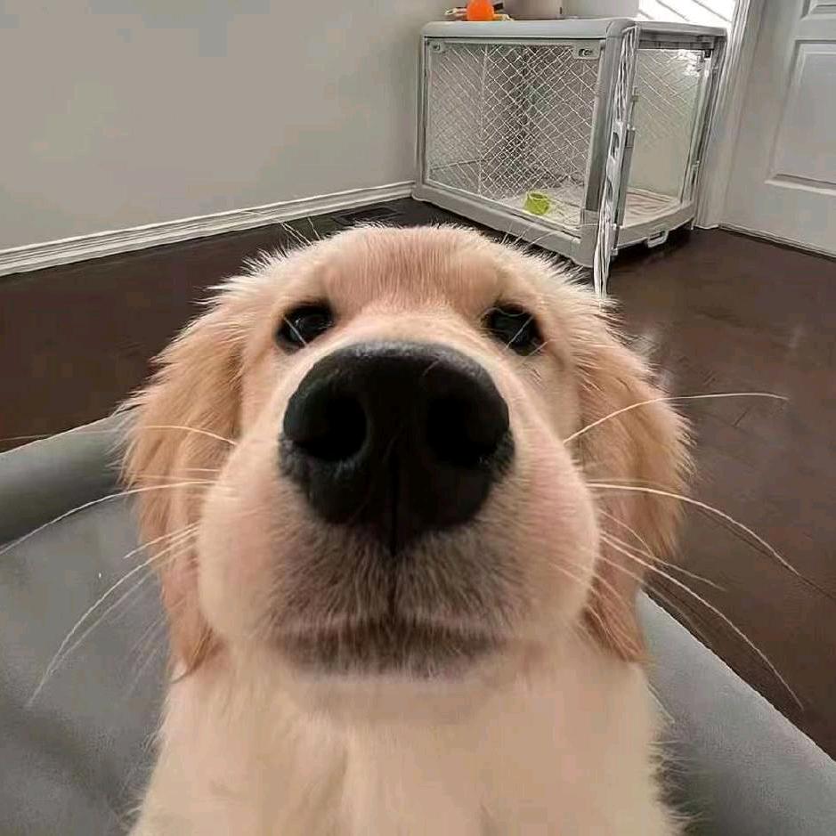 整啥子