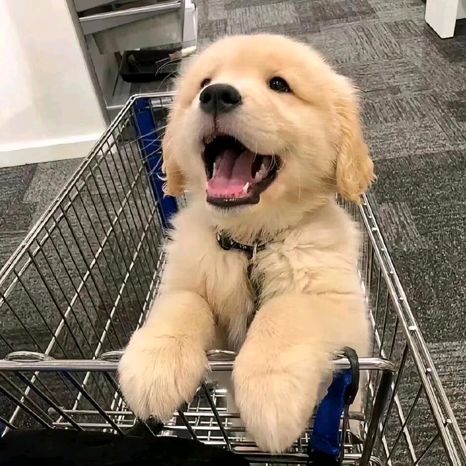 该睡觉咯