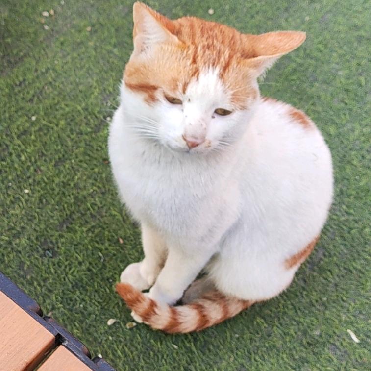 弟弟爱拆盒盒潮玩