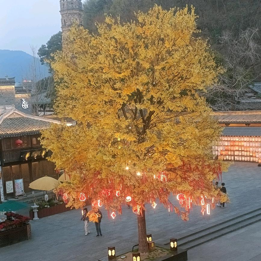 皮皮虾&墨羽