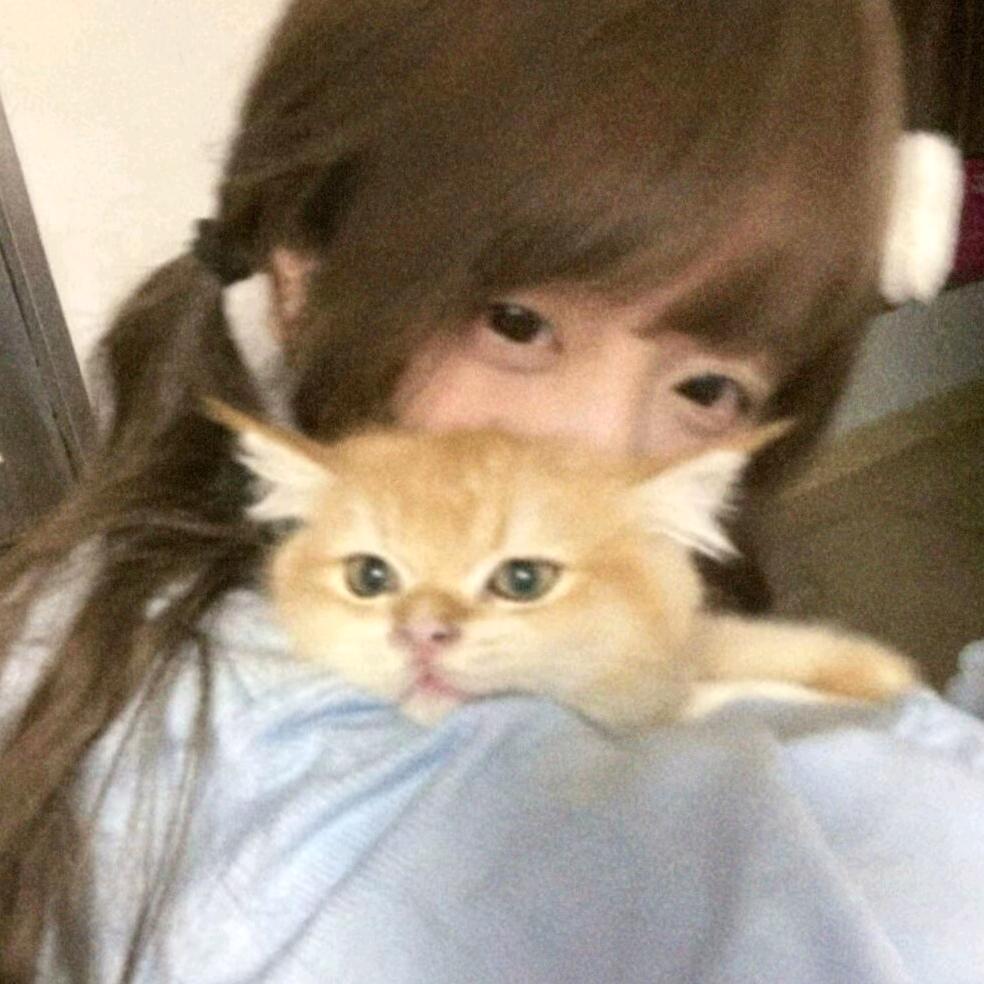 Lyy◟(˶> ᎑ <˶)◞