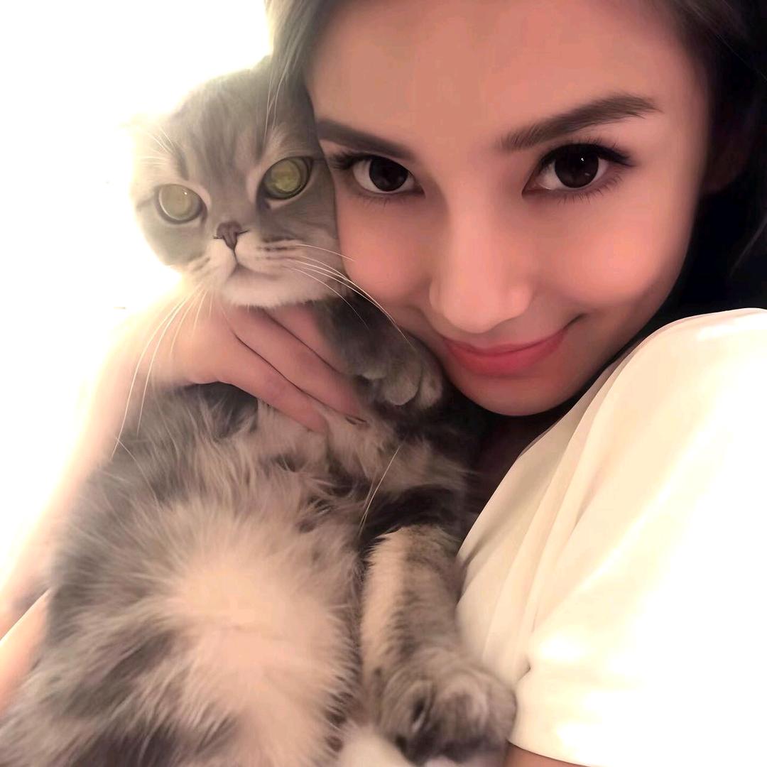 去上次牵手赏花那里散步好吗