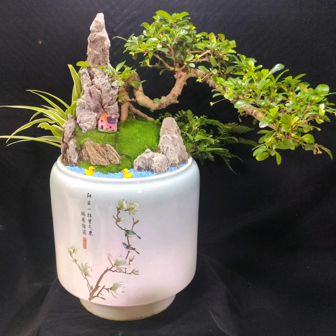 理叔造景小坊
