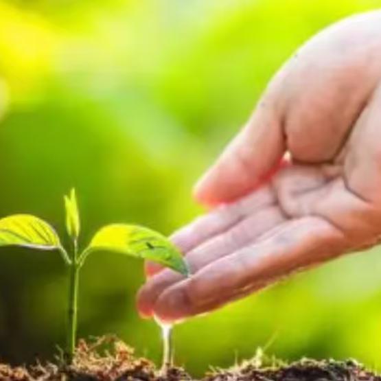 博士的父亲是语文老师