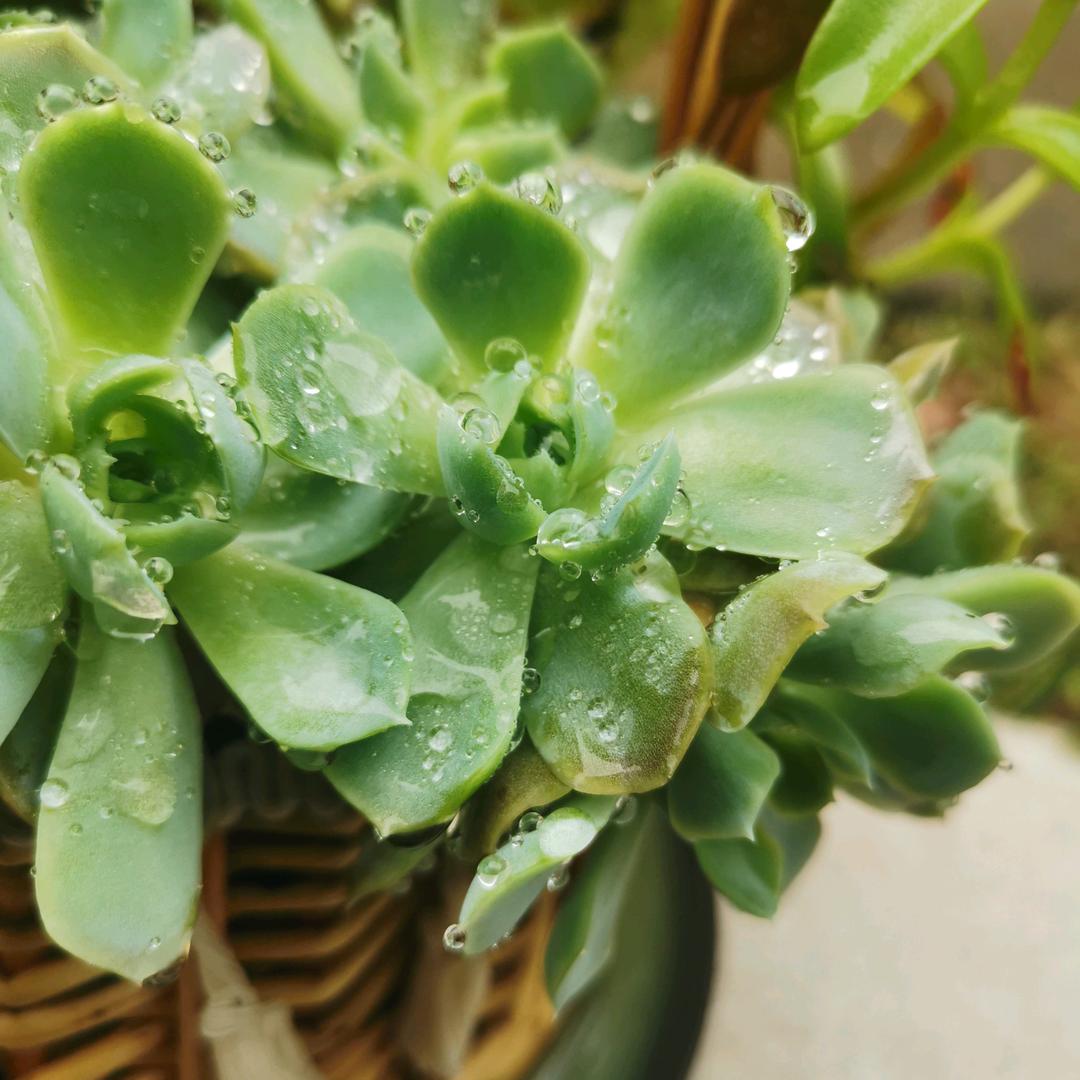 土地的力量
