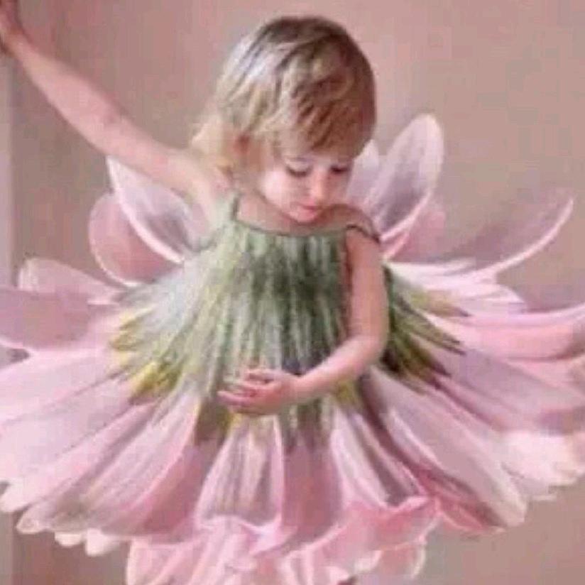 🌸奔赴美好🌸