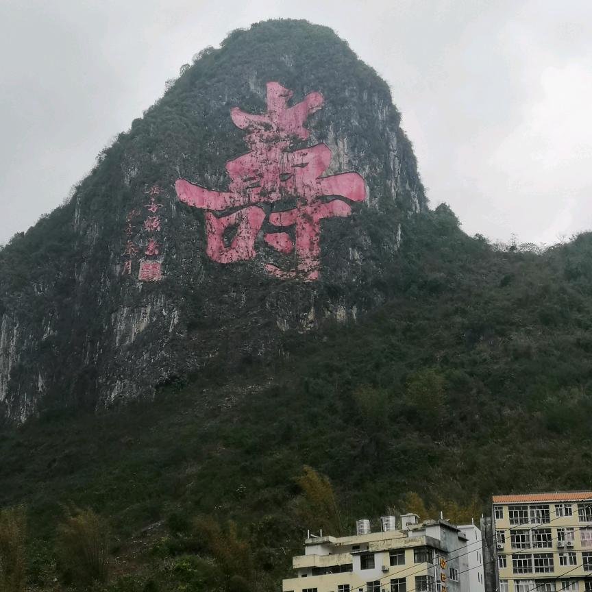 开心笑D