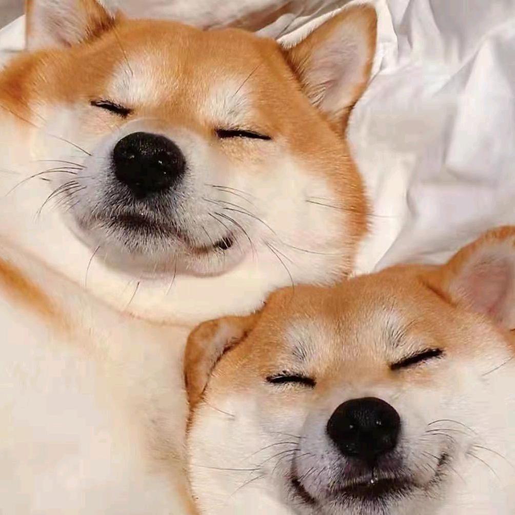 💕ꦿ҉好ᨶ႒ᩚ运ᥫ