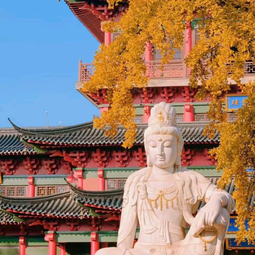 真诚